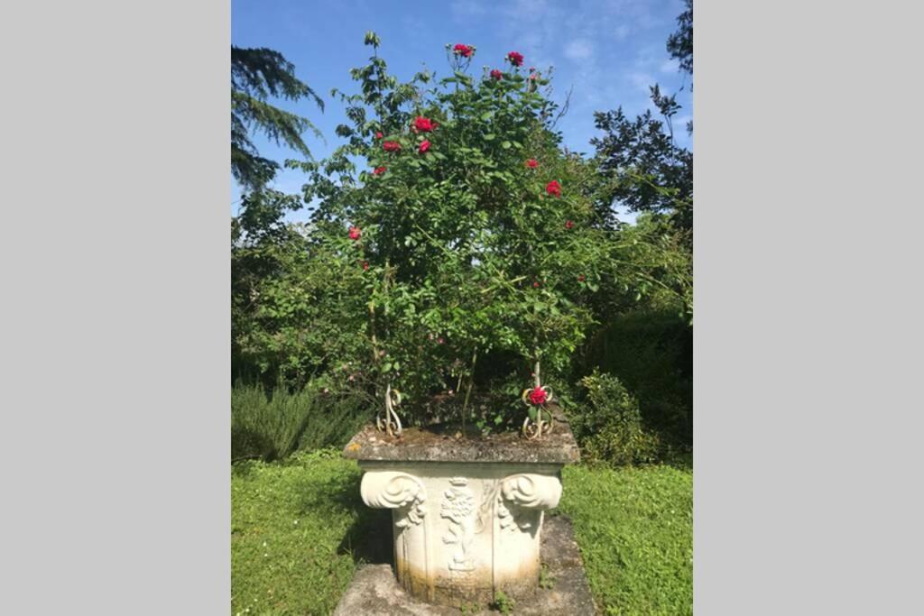Casa La Torre Un Castello Alle Porte Di Firenze Eksteriør billede